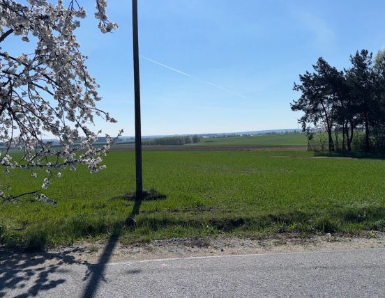 Działki w miejscowości Chojęcin - Parcele